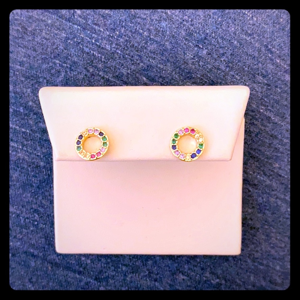 NW rainbow studs